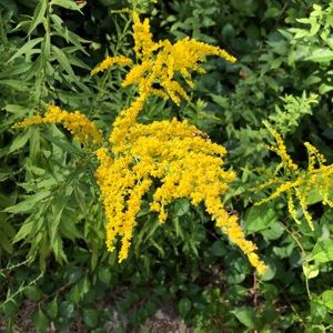 Meet your Posher, Kurt